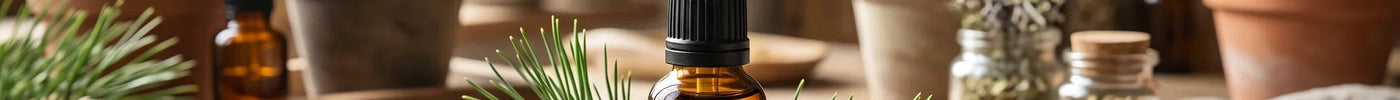 Çam Terebentin Yağı Nedir?