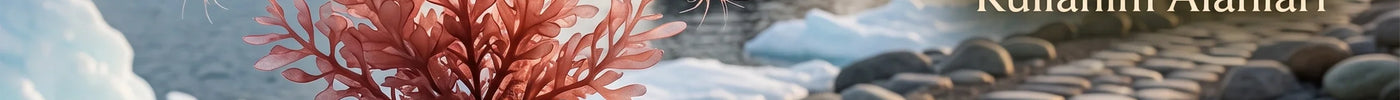 Krill Yağı Nedir?